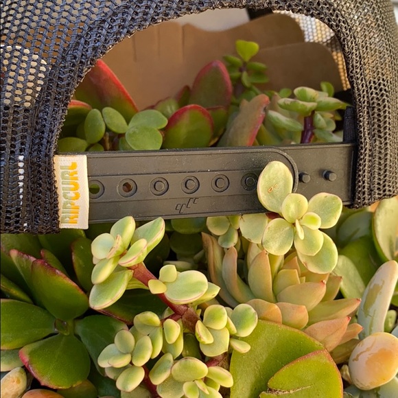 🔷🔹 RIP CURL SURF REVIVAL TRUCKER HAT 🔹🔷 - Picture 8 of 8